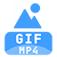 MP4转GIF